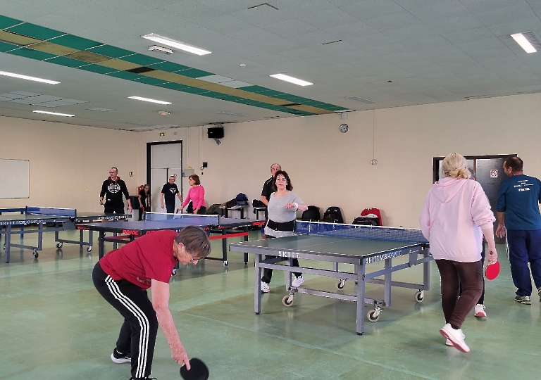 Tennis de Table