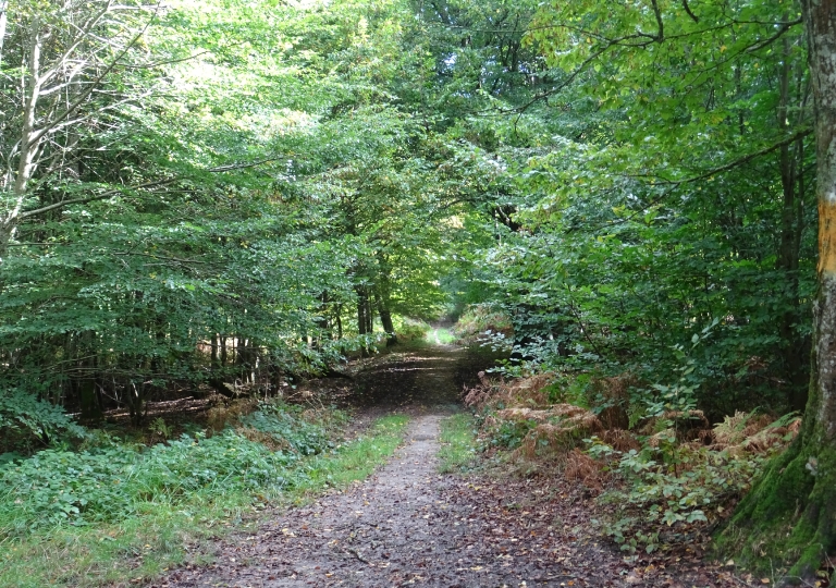 Les Rochers d'Angennes